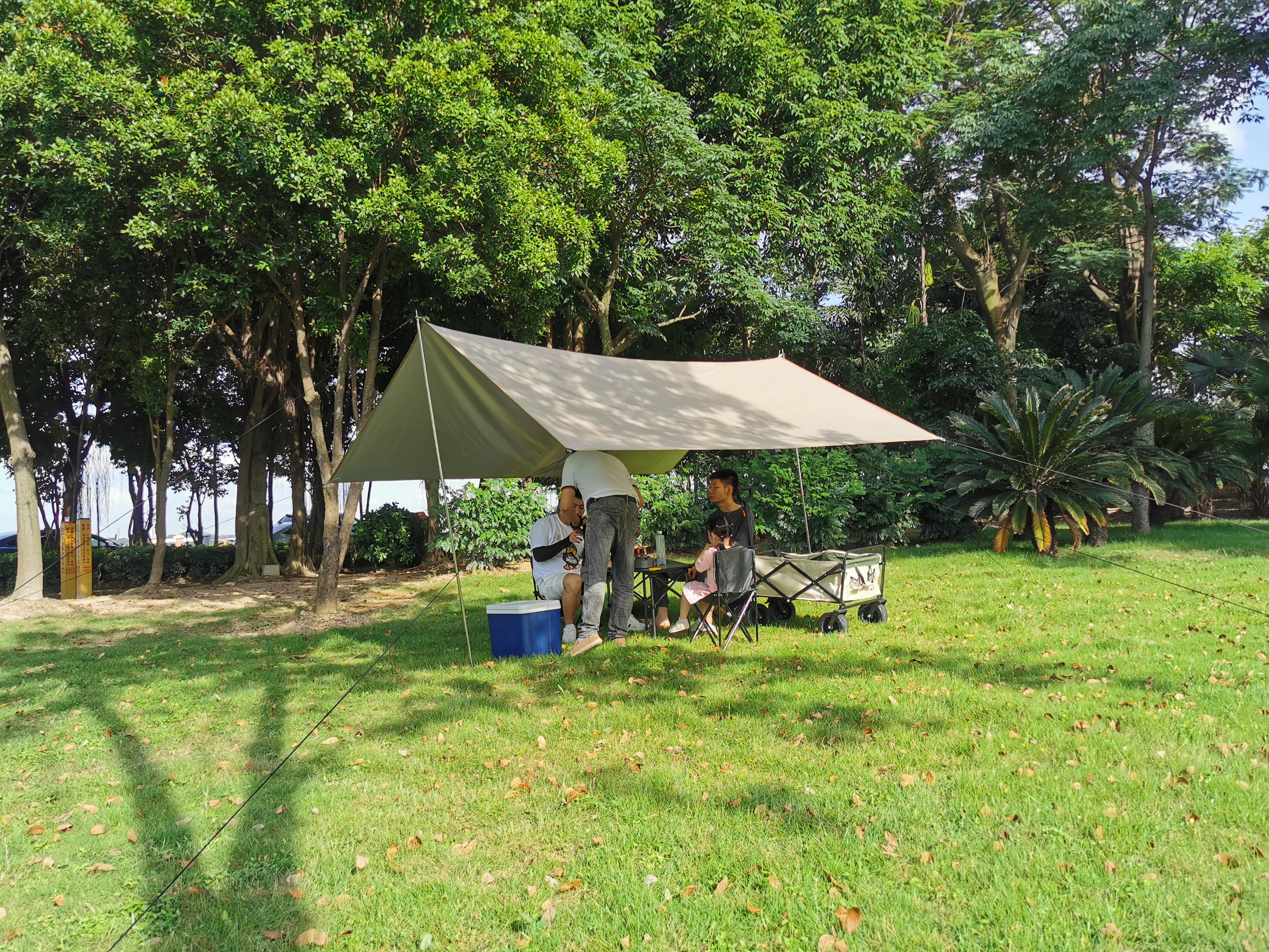 tenda de copa pop -up
