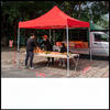 Tenda de dossel para publicidade em feiras comerciais impressas personalizadas, exposição de promoção de exposição de verão, barraca de 10 pés