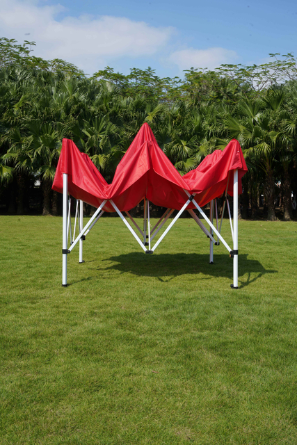 o aço feito sob encomenda de 10x10ft estala acima a barraca do dossel da propaganda das barracas para eventos de exposição da feira profissional exteriores